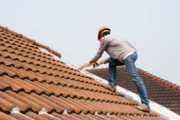 Best Metal Roofing Installation  in Lenoir, NC