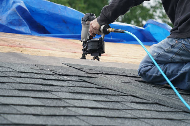 Best Roof Moss and Algae Removal  in Lenoir, NC